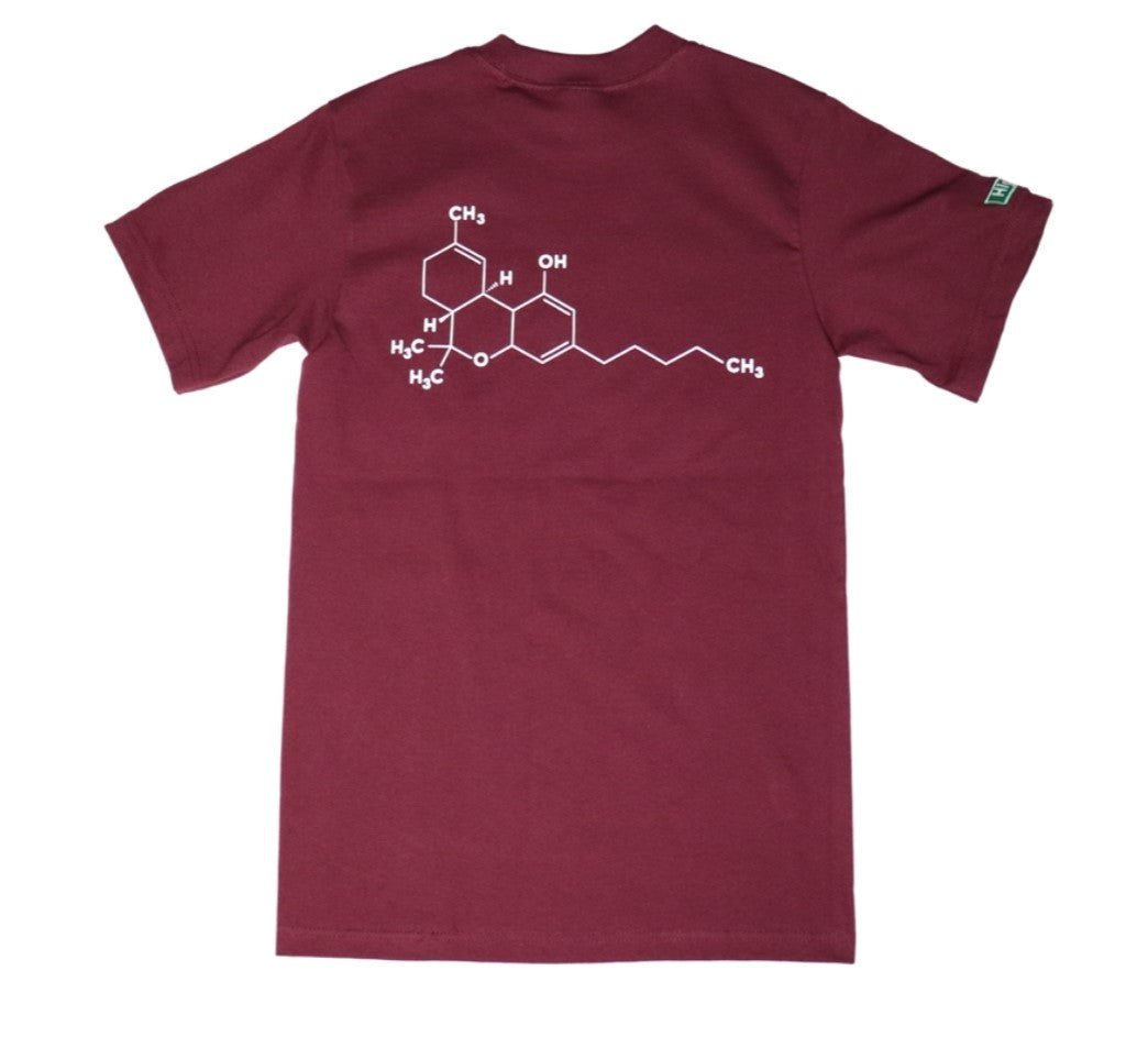 Rolling Hands and Molecule T-Shirt